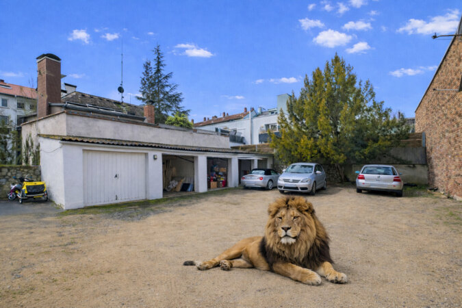 Garagenhof bzw Neubaupotenzial