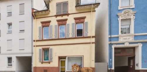 Zwei in einem