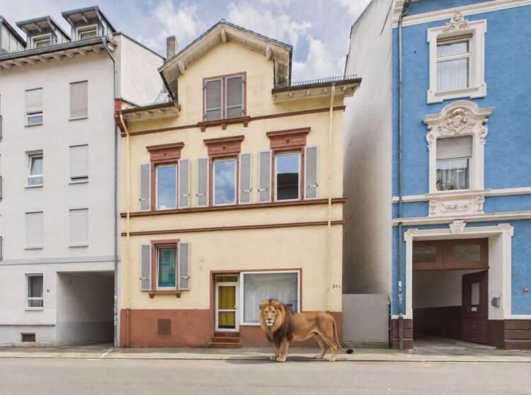 Zwei in einem