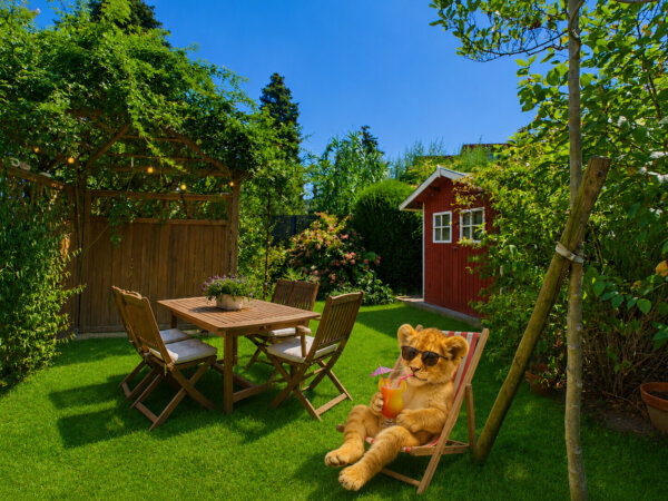 der wunderschöne Garten zur Mitbenutzung