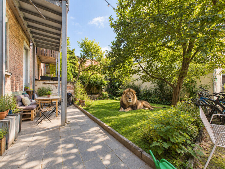 SCHWIND IMMOBILIEN: einmalige Gelegenheit: 4-ZW mit privatem Garten und 5 Garagen im Martinsviertel