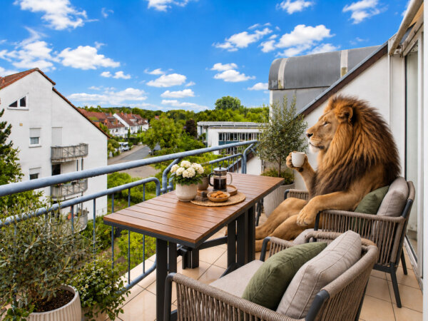 Titelbild mit Löwe