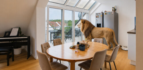 Lichtdurchflutete 2-Zimmer-Wohnung mit Balkon und besonderer Architektur