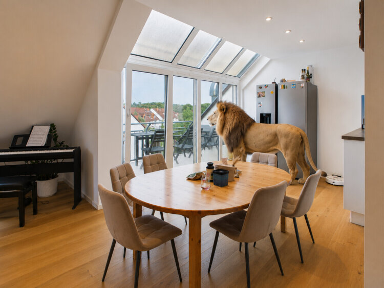 Lichtdurchflutete 2-Zimmer-Wohnung mit Balkon und besonderer Architektur