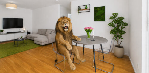 Modern wohnen: 3 Zimmer mit Südbalkon