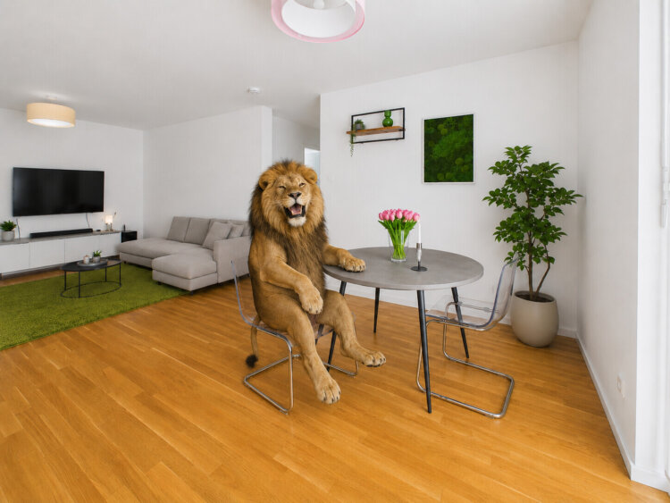 Modern wohnen: 3 Zimmer mit Südbalkon