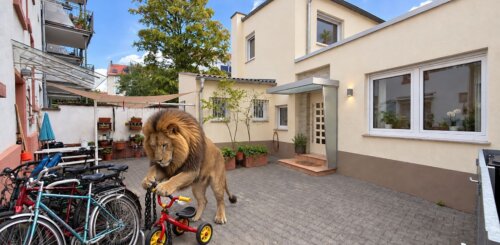 Charmantes Häuschen mit Garten